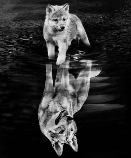 8a2eb813e625269952ab540b294a55c7