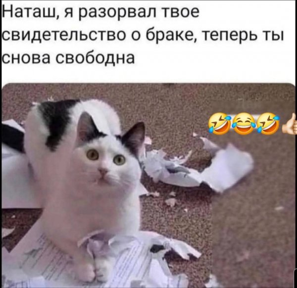 FB IMG 1777318225830