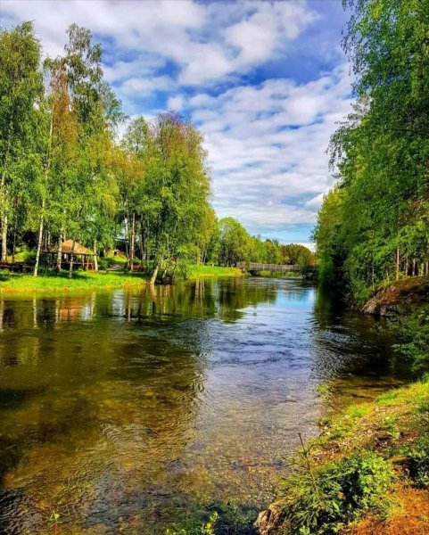 Краски лета