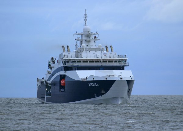 IMG viter59 142607