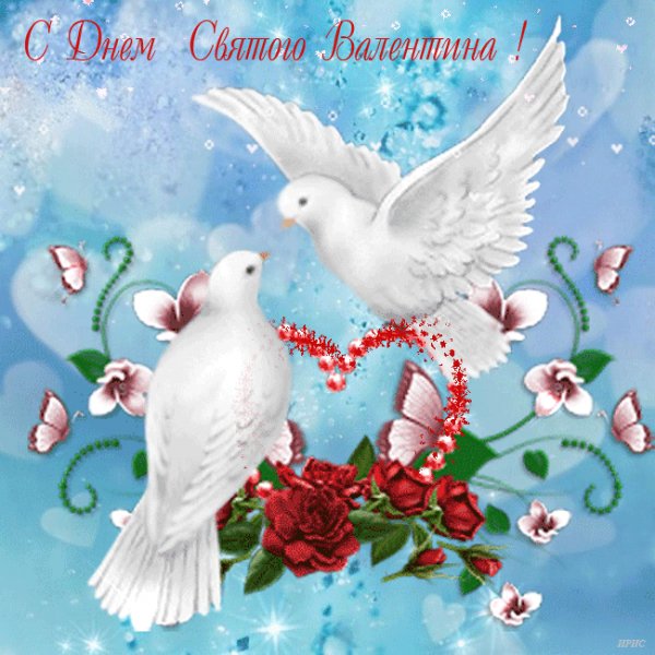 0 c4ecd 77f239c2 orig