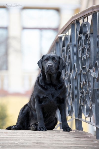 V0RDCYHBFGEDCFXDFAYW4K