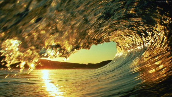 природа