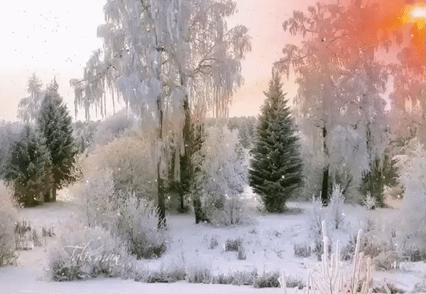Снег падает