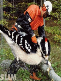 file_7501983