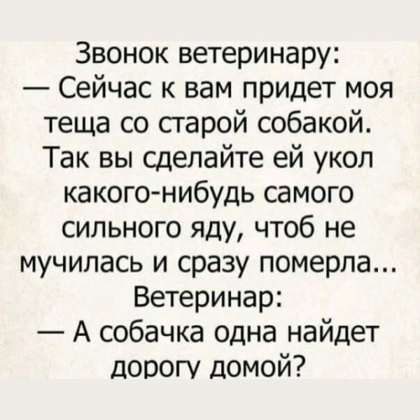 file_99509745