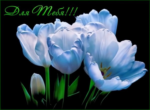 Для тебя!