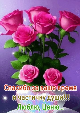 Spasibo