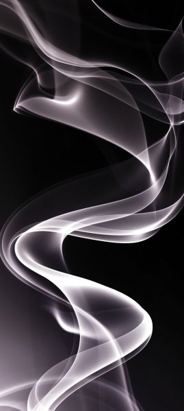 adapted 1080x2408 1768634096