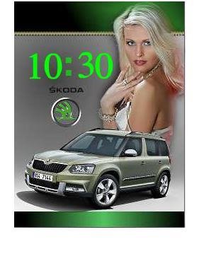 13.02.SKODA