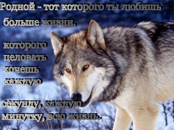 Rodnoj -Yeto