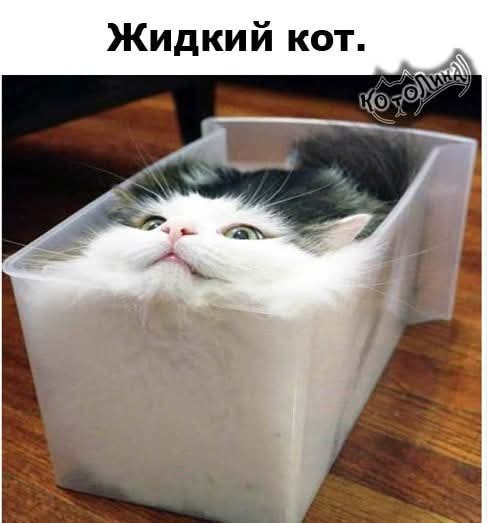 FB IMG 1771913323703