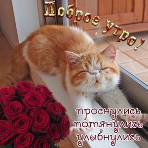 IMG 20190130 070678