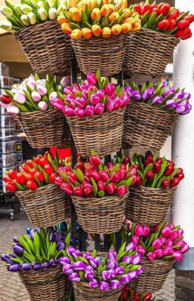 a35c90fa5bf4ee5bf33f10094