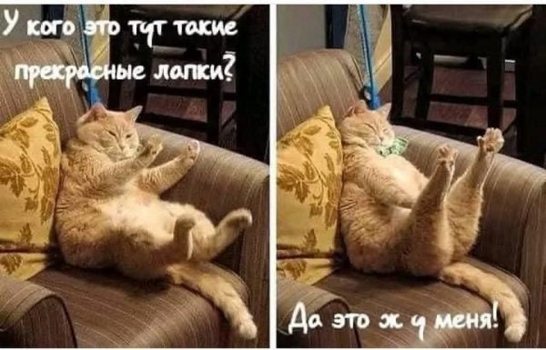 FB IMG 1780128794279