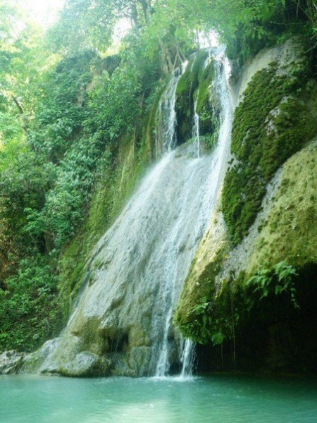 file_94756661