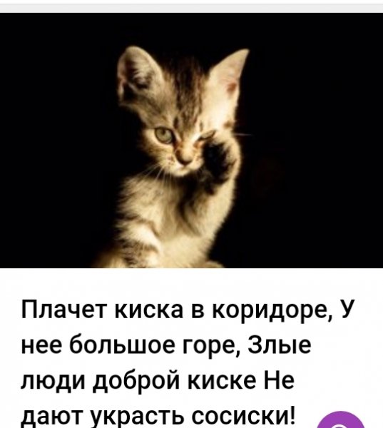 Киска плачет