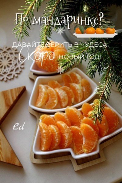 file_95318705