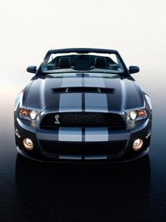 Mustang car