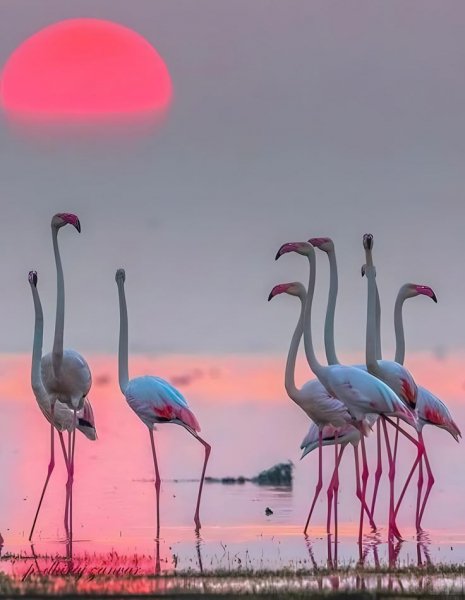 F514c4bf58afbc2810e1cabf17958ca4