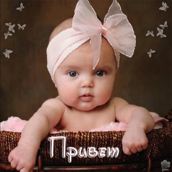 Привет