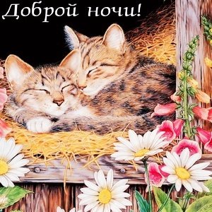 IMG 20181115 163652