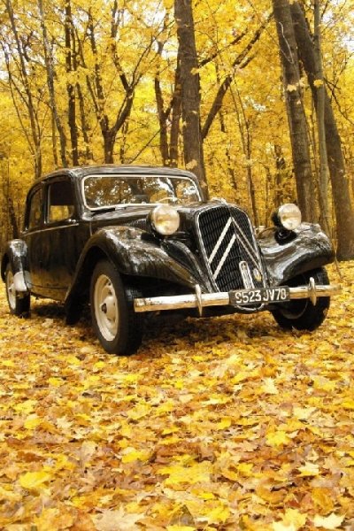 Eantiquecar 1JQx9q2W