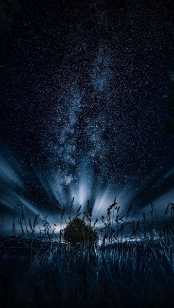 file_78407233