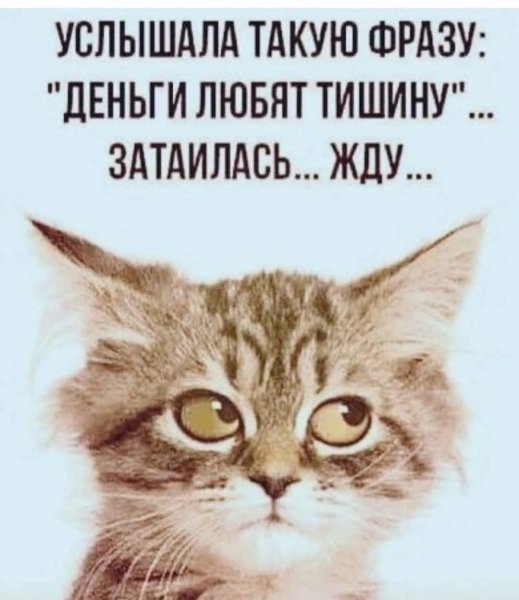 FB IMG 1760896120265