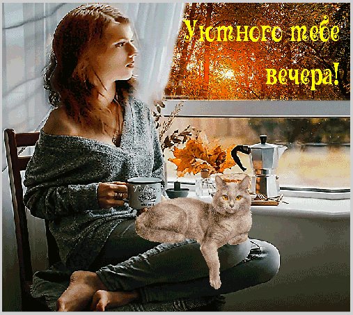 уютного вечера 031002