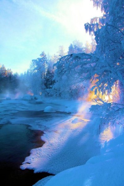 93bb275908b53b0e7ca386580d499662