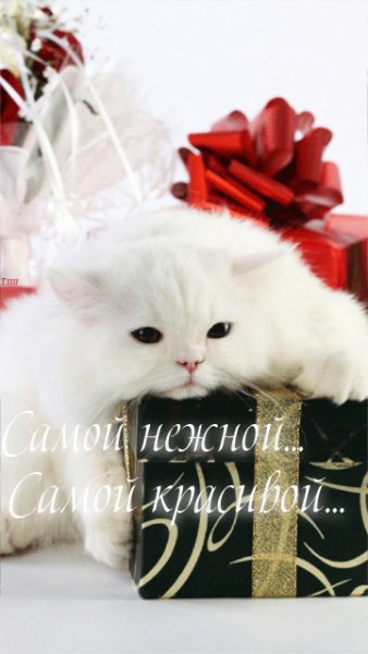 file_39192232
