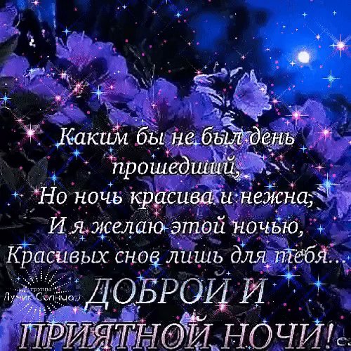 IMG 20251206 203734