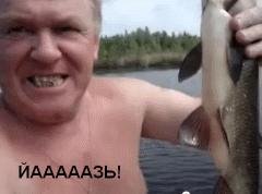 Yaz-Fish of My Dreams