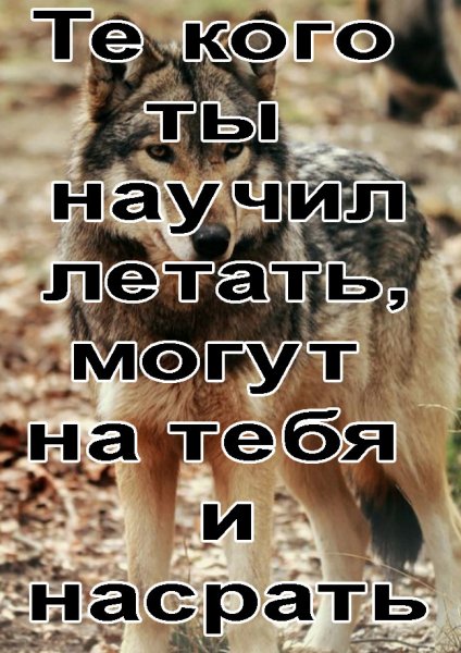 IMG 20190927 112812