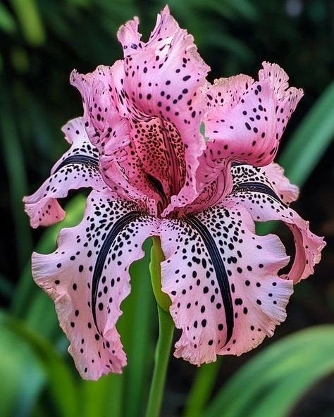 18d28783f383263dbc948bd40fc3a41e