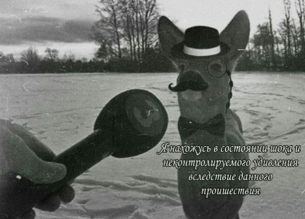 IMG 20260522 022525 200