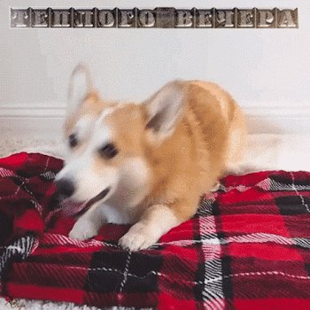 Тёплого вечера