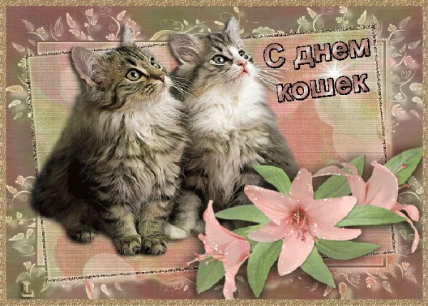 С 1 Марта,Днём Кошек!