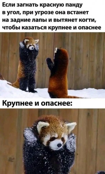 file_96214561