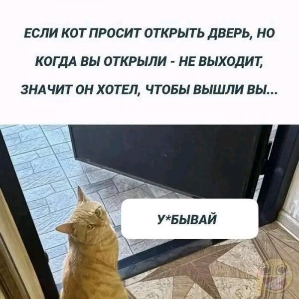 file_102514984
