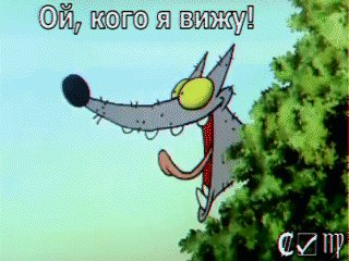 gif 1623088798