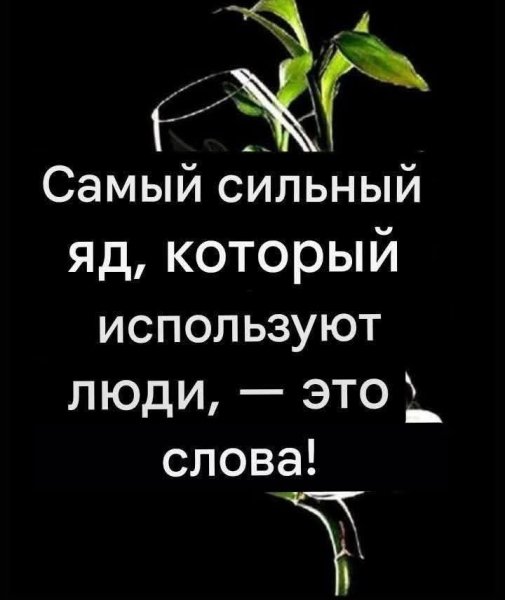 IMG 20260126 072457