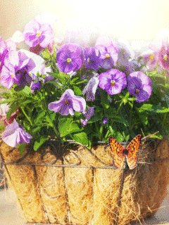 file_62427283