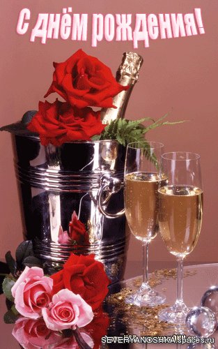 gallery 2 176 15872