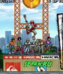 Tony Hawk Vert