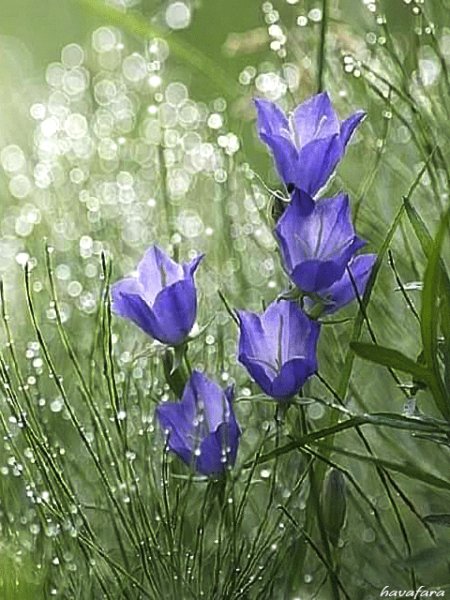 После дождя...