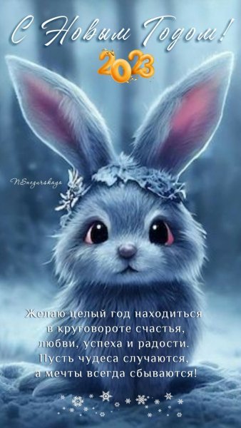 file_92339426