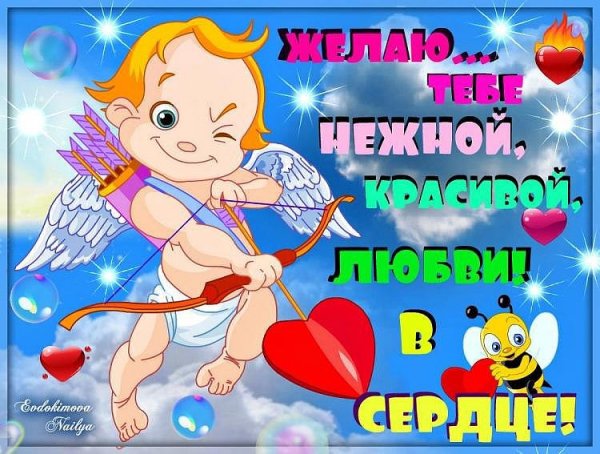 IMG 20150206 180429 32
