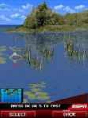 Bassmaster elite